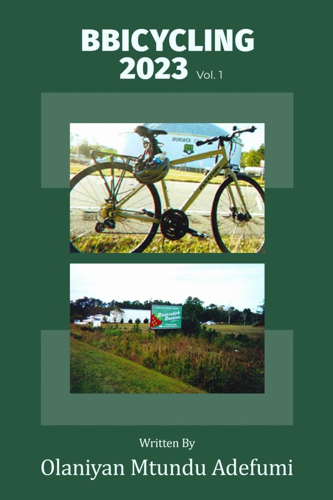 olaniyan Bicycle Front 1.1